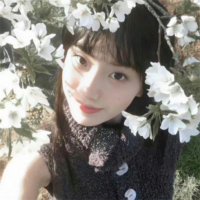 惨淡的青春