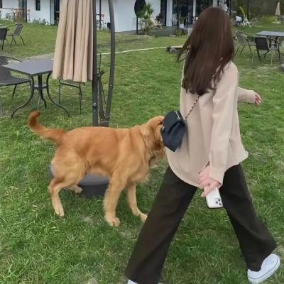 沙子上的楼梯